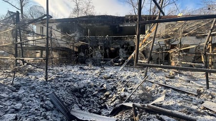 Animals killed as Russian airstrike hits Kharkiv Ecopark - 304x171