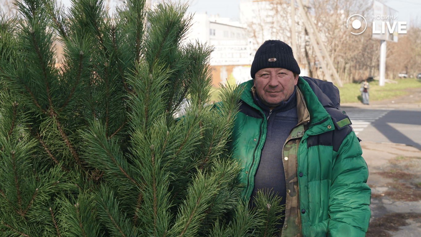 Скільки коштують ялинки в Одесі у 2025 році — огляд локацій - фото 4