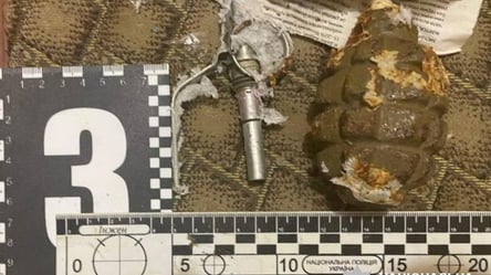 Взрыв гранаты в городе на Одесчине: полицейские рассказали детали инцидента - 285x160