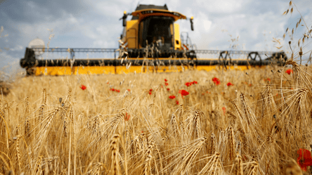 Ціни на зерно в Україні — скільки коштує ячмінь у квітні - 285x160