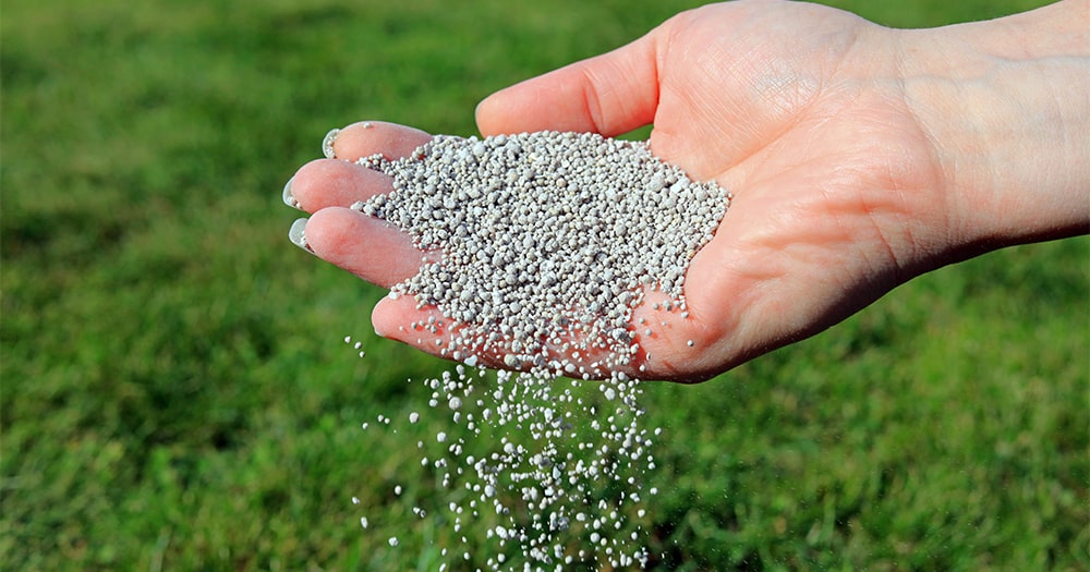 Подкормка газона удобрениями