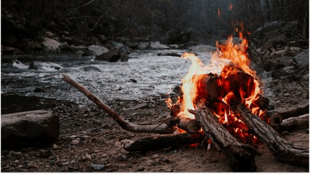 Сухостой возле рек — можно ли рубить на дрова осенью 2025 года - 285x160