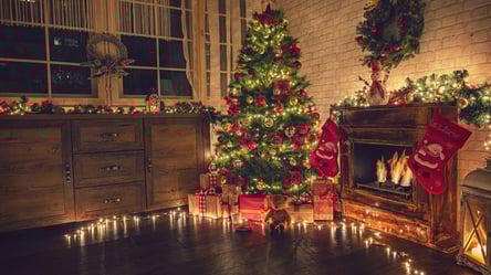 Щоб ялинка не обсипалась — головні правила догляду вдома - 285x160