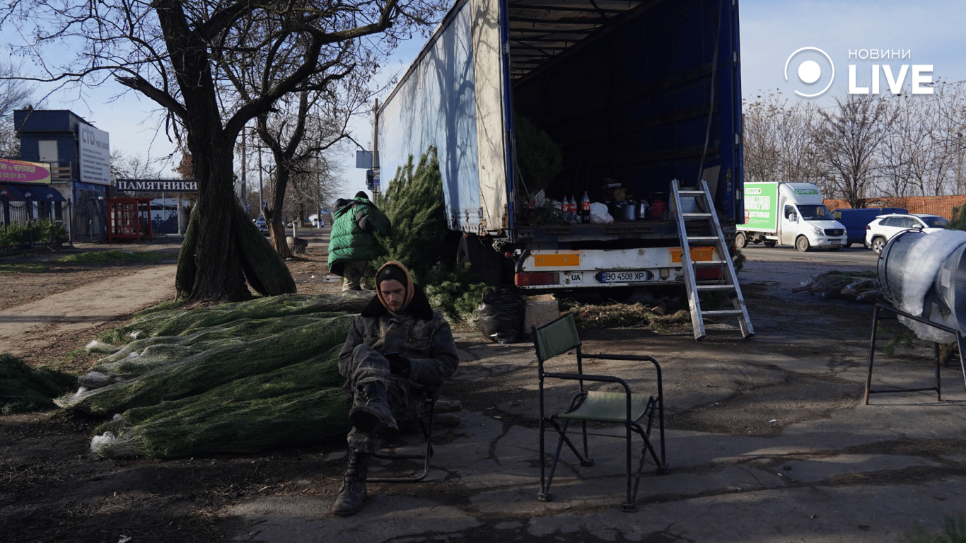 Работники на елочном базаре Фото: Новости.LIVE/ Юлия Браславская