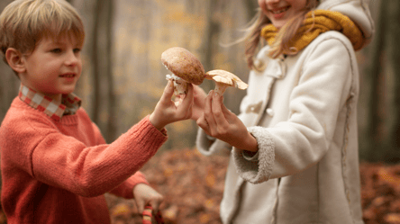 Сезон грибів в Карпатах — як і де їх можна збирати - 285x160