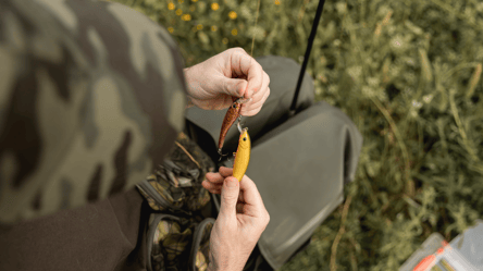 Осіння риболовля на коропа та окуня — коли найкраще клює - 285x160