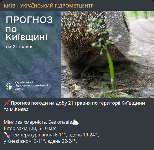 Погода в Києві 21 травня