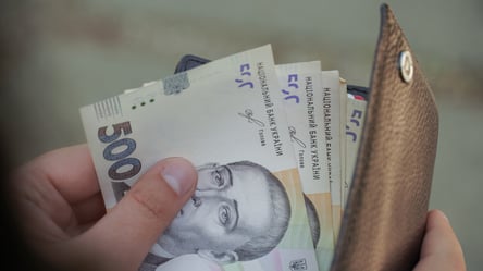 УБД отримають виплати до Дня Незалежності: сума у 2026 році - 290x160