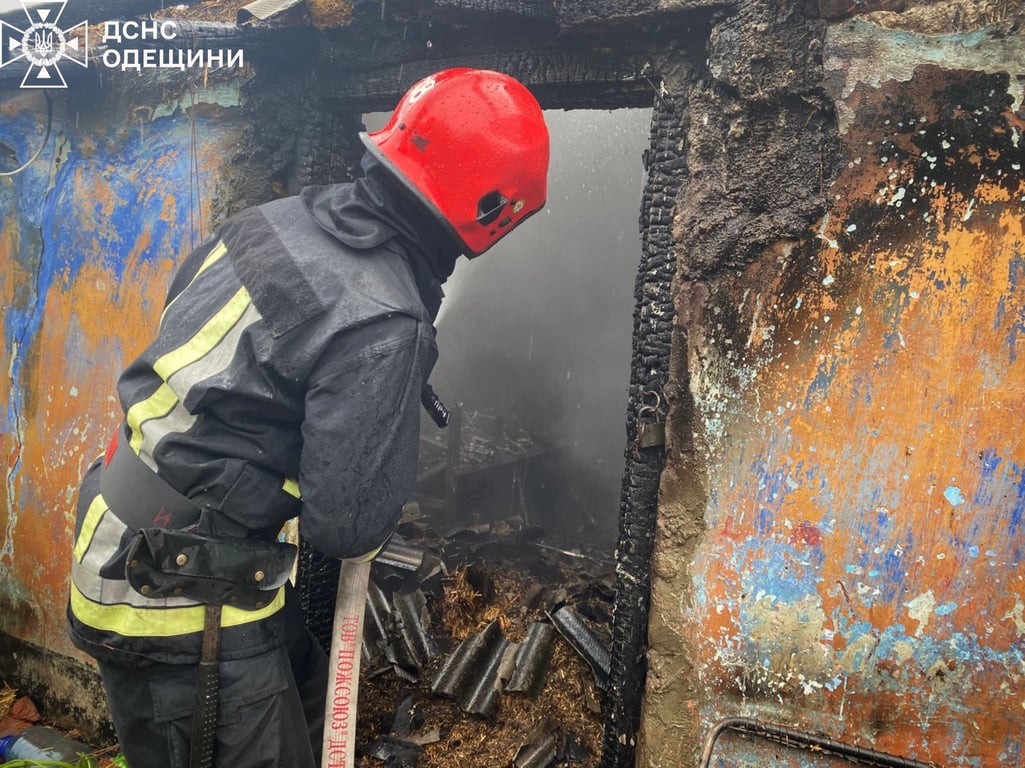 На Одещині в пожежі загинули діти — подробиці - фото 1