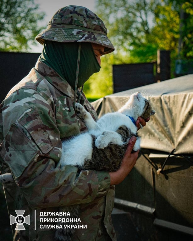Прикордонник разом з котом, якого прихистили в Харківській області