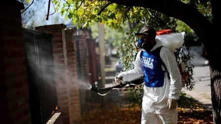 Масштабная вспышка лихорадки в Аргентине: заражено более 60 тысяч человек - 285x160