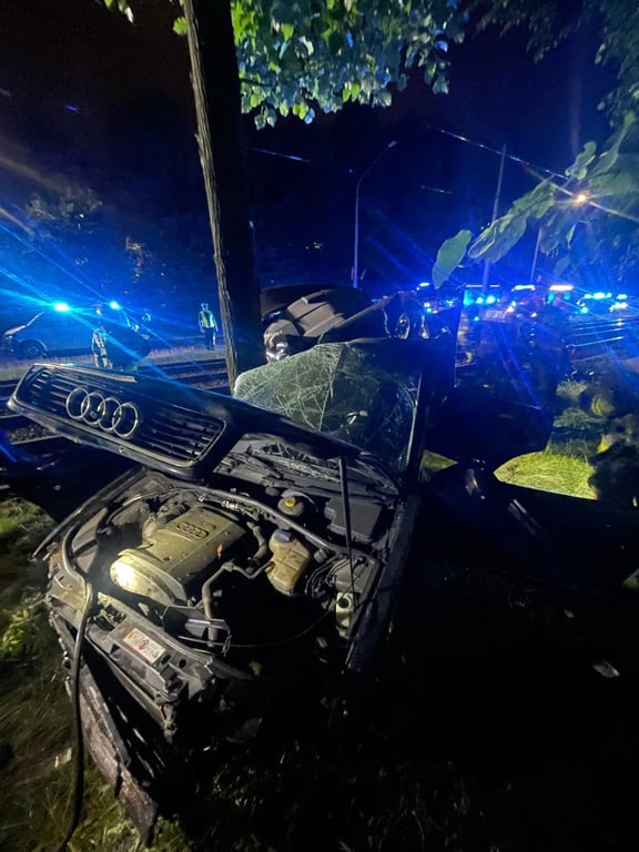 Машина, на якій розбилися підлітки. Фото: trojmiasto.pl