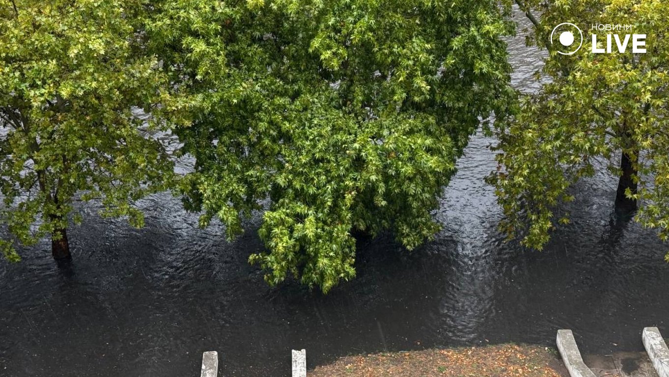 В Одесі вирує негода, рух дорогами ускладнено