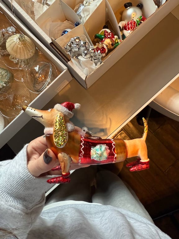 Дорофеева украсила елку с детьми Кацурина