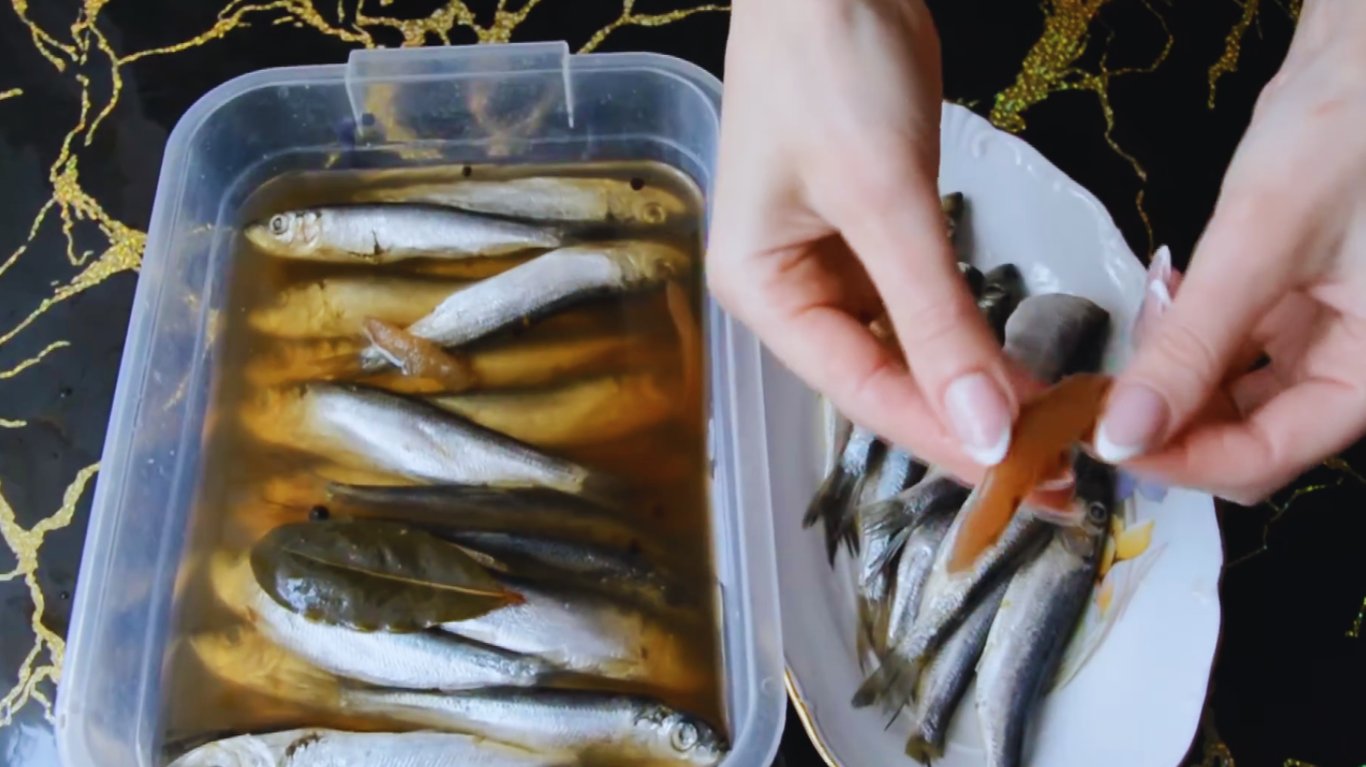 як засолити салаку в домашніх умовах