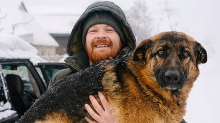 Врятована ЗСУ вівчарка принесла вдачу — в неї тепер свій позивний - 285x160