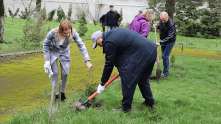 В Хмельницком выделили полмиллиона гривен, чтобы посадить несколько деревьев на пяти улицах - 285x160