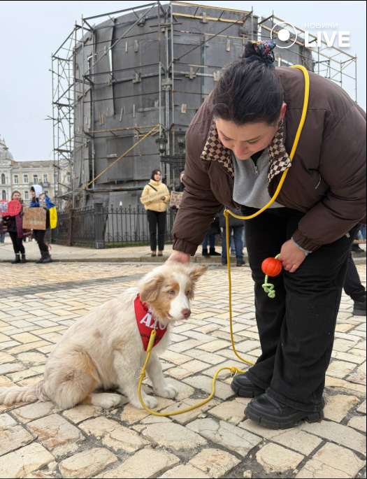 Акція на підтримку військовополонених у Києві