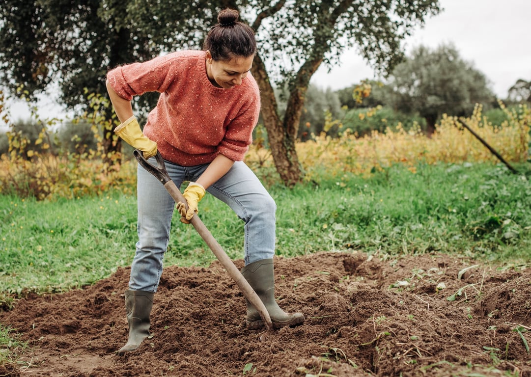 Що слід зробити на городі до кінця жовтня — сім головних справ
