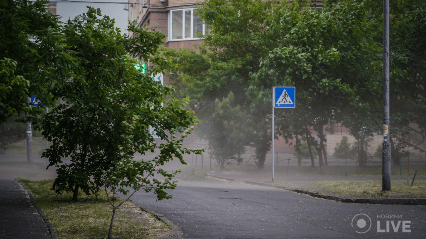Новый погодный рекорд в Киеве: чем удивила столица на этот раз