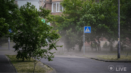 Новий погодний рекорд у Києві: чим здивувала столиця цього разу - 285x160