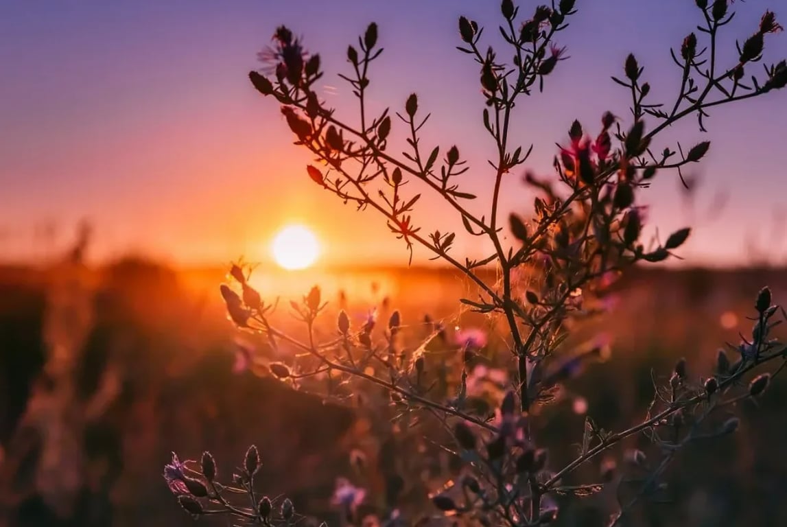 Приметы на День осеннего равноденствия