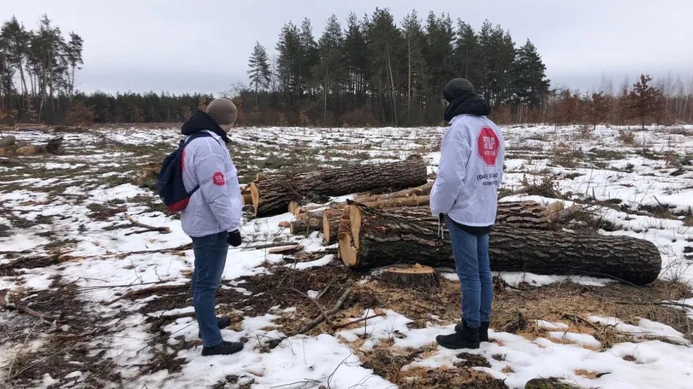 У Кіровоградській області чоловік незаконно рубав дерева — суд виніс рішення