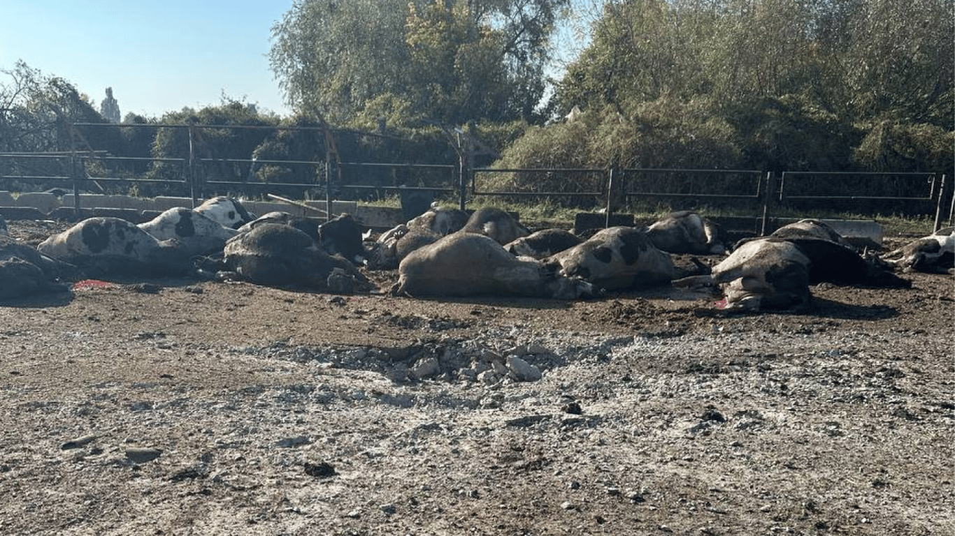 Обстріл Харківщини