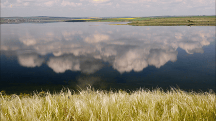 Оборудки з землею — степи і ліси Одещини під загрозою знищення - 285x160