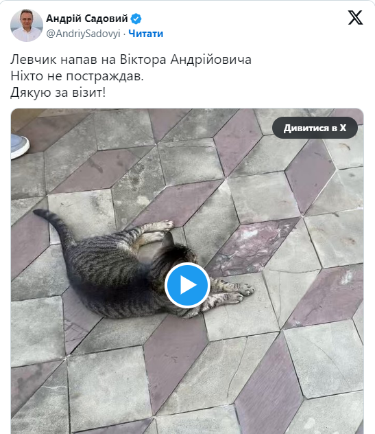 Кіт Левчик покусав Віктора Ющенка 