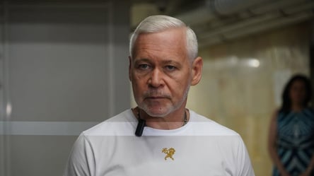 Терехов виступив проти залучення мігрантів в Україну - 290x160