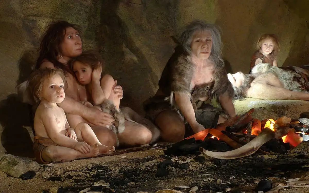 Какова была настоящая жизнь женщин-неандертальцев, чем они занимались и как выживали