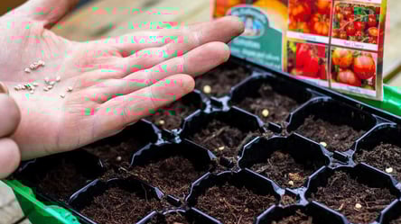 Проверьте это перед покупкой семян, чтобы не потерять урожай - 285x160