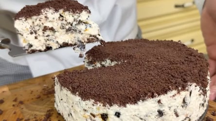 Торт на свята без випічки — потрібні сметана, какао та чорнослив - 285x160