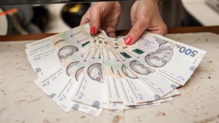 Сколько денег нужно для въезда в Украину — минимальная сумма 2025 - 285x160