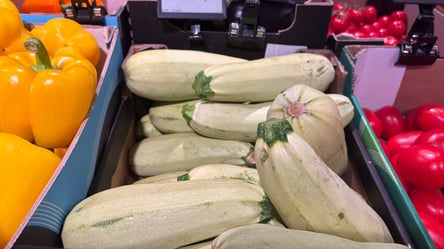 Продавці оновили ціни на кабачки — чому варто купити вже зараз - 285x160