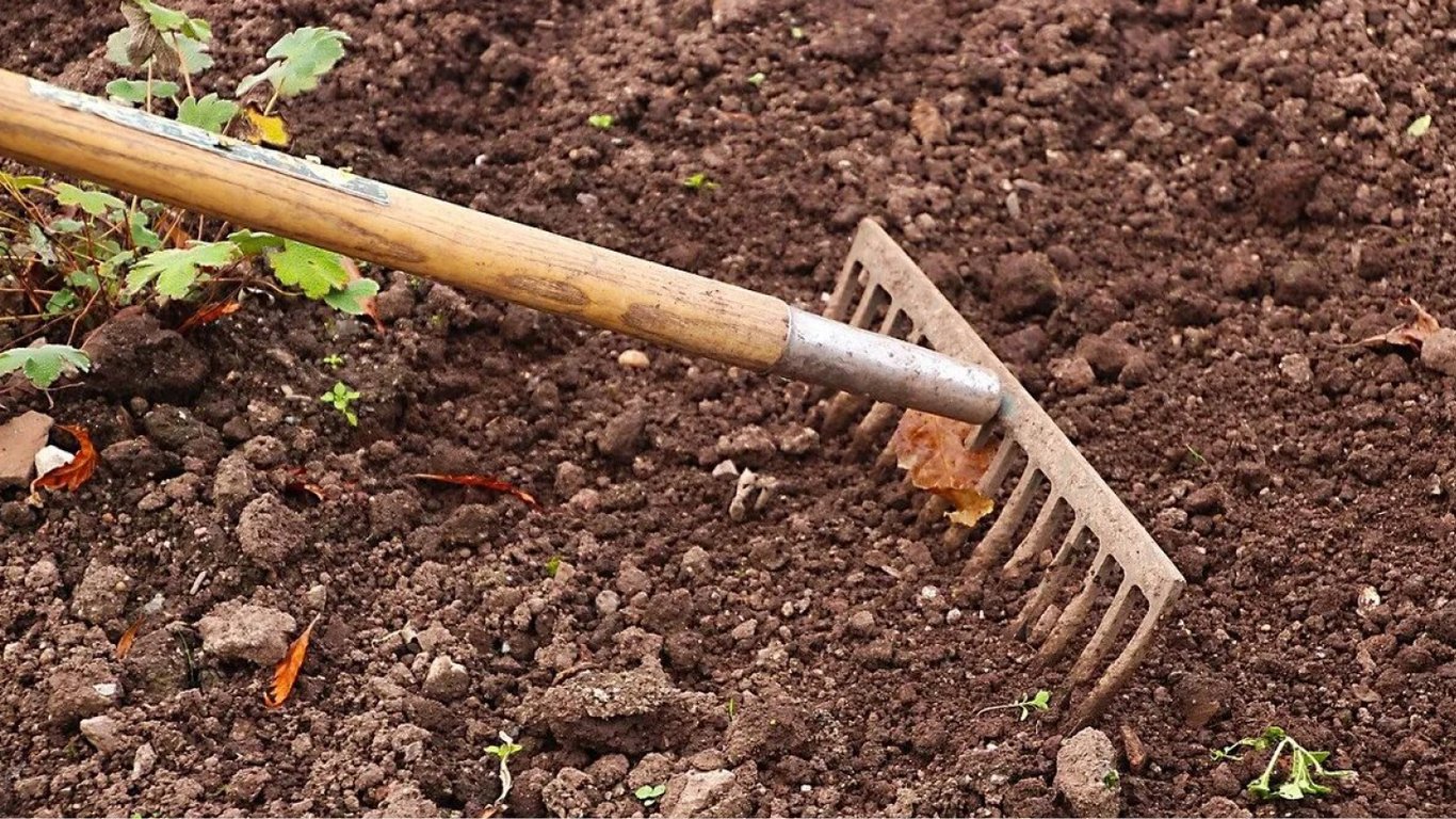 Как сделать почву идеальной для огурцов: секреты подготовки к новому сезону