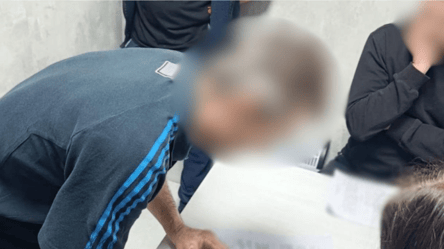 Дрова недорого — на Одесчине разоблачили очередную схему - 285x160