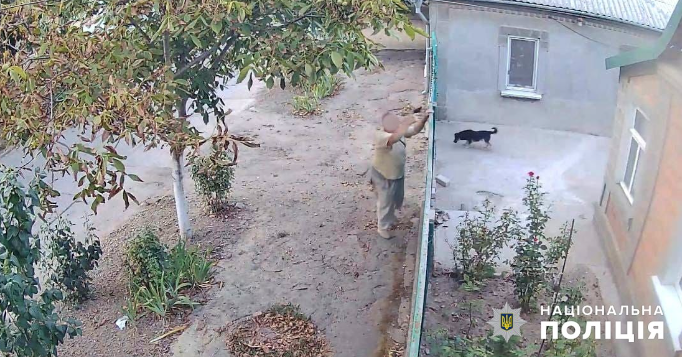 Пенсионер стрелял по собакам.