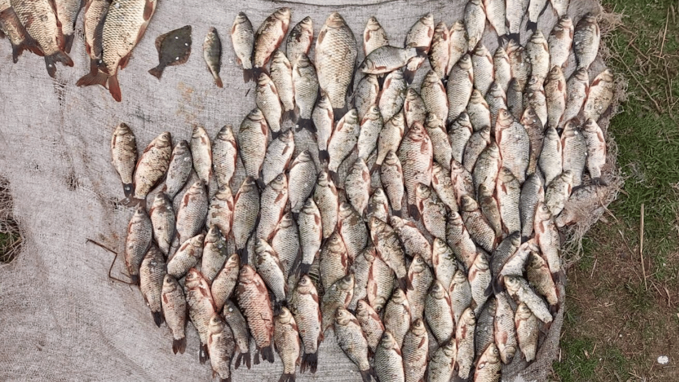 Понад 300 тисяч гривень за незаконну рибалку на Одещині