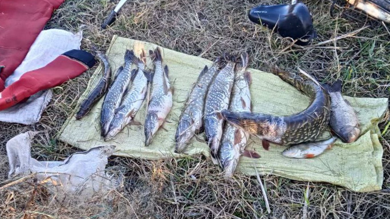 На Одещині браконьєри  завдали збитків на півмільйона гривень