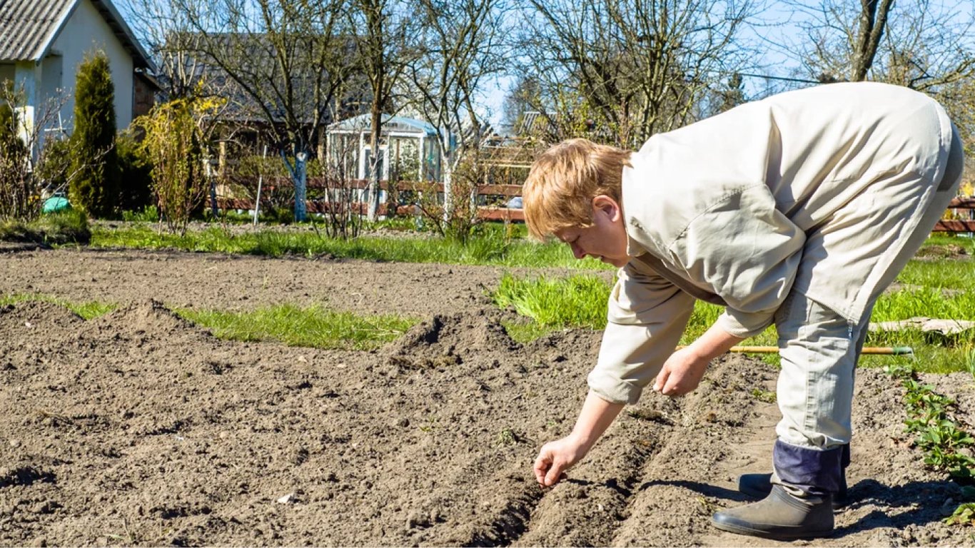 Які культури не можна садити у Страсний тиждень