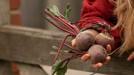 Буряк ще ніколи не був таким смачним — 3 вражаючі салати - 285x160