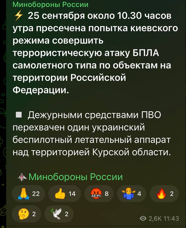 В Минообороны РФ сообщили о перехвате дрона