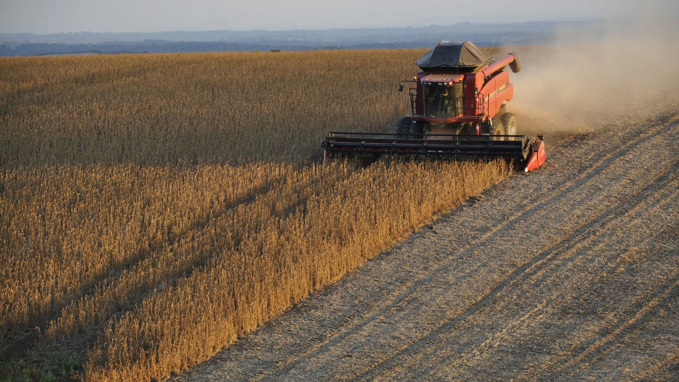 Цены на зерновые в Украине по состоянию на 29 декабря 2023 года