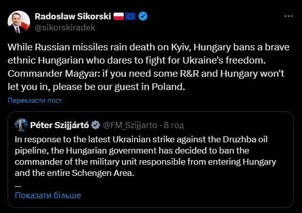 Сікорський запросив "Мадяра" у Польщу після рішення Угорщини - фото 1