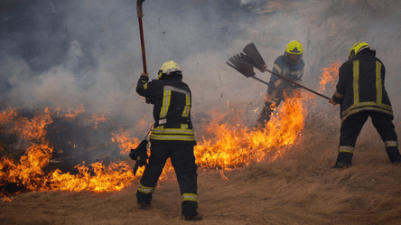 Одещина у вогні — пожежі знищили сотні гектарів землі - 285x160