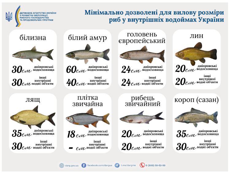 Риболовля у 2025 — без чого українці можуть отримати штраф - фото 1