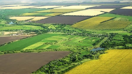 Раздавали государственные земли — в Николаевской области разоблачили чиновников - 290x166