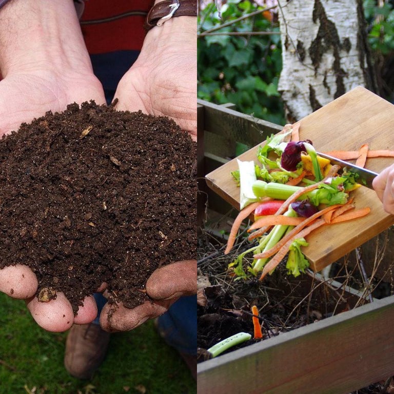 Перегной и компост